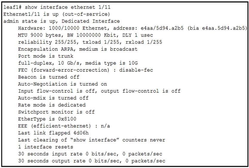 300-615 dumps exhibit