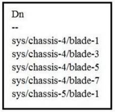 300-635 dumps exhibit